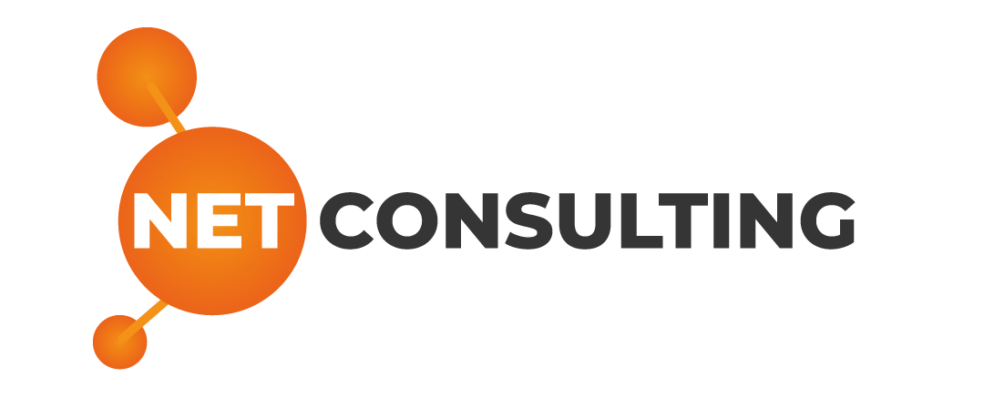 logo-net-consulting